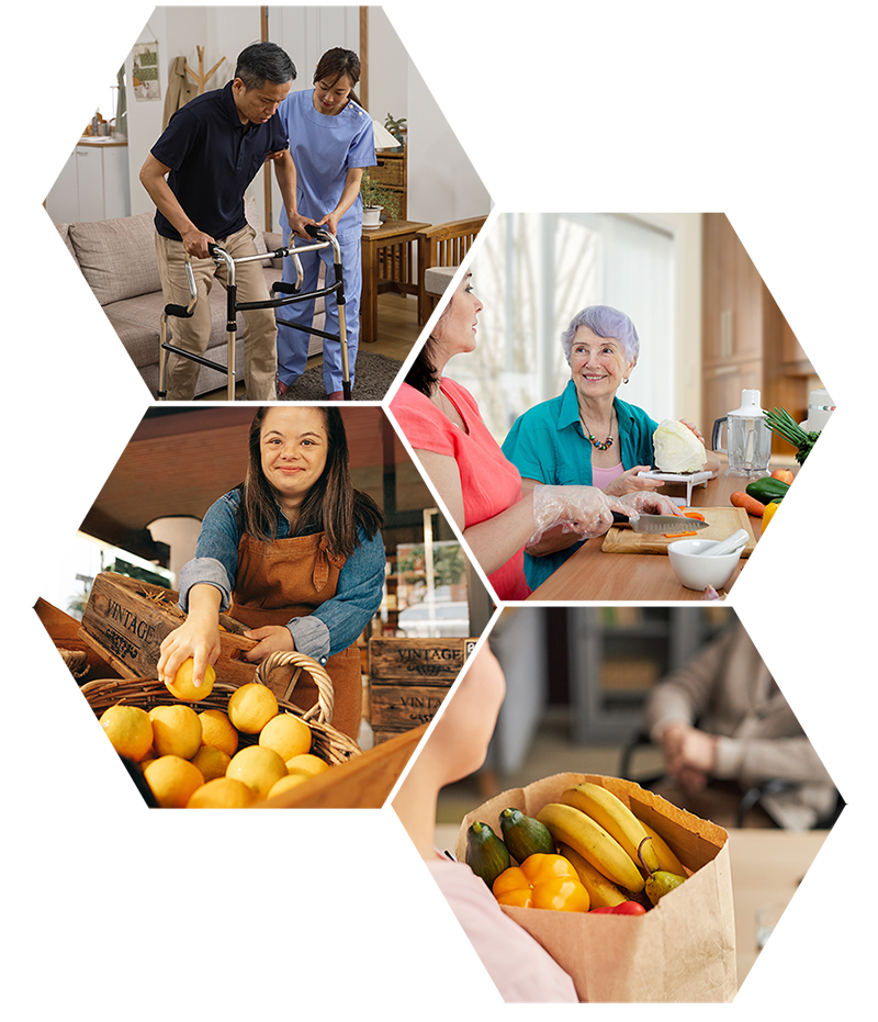 Melb24 Care - Services